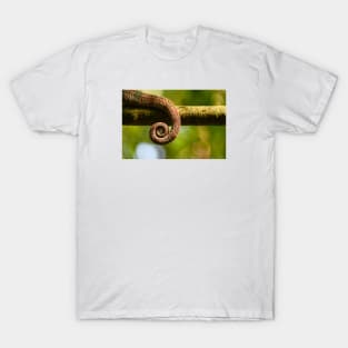 Chameleon Ringeltail / Swiss Artwork Photography T-Shirt